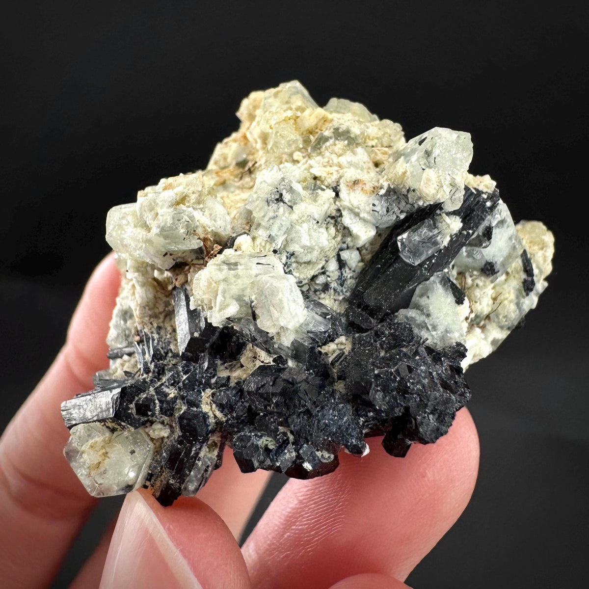 Beryl var. Goshenite with Black Tourmaline | natural crystal cluster, mineral specimen from Namibia