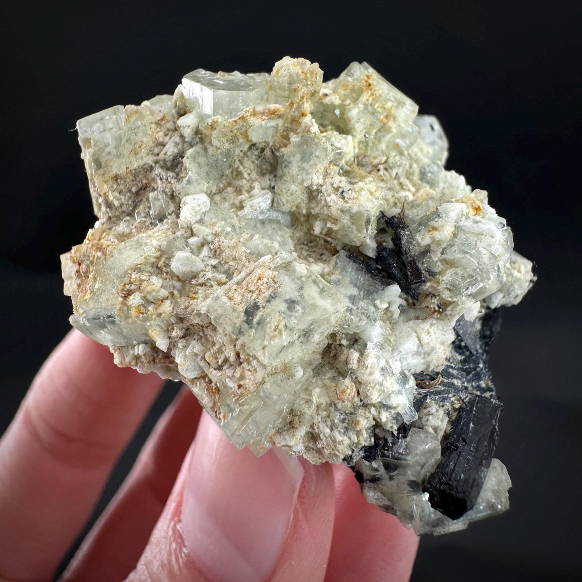Beryl var. Goshenite with Black Tourmaline | natural crystal cluster, mineral specimen from Namibia