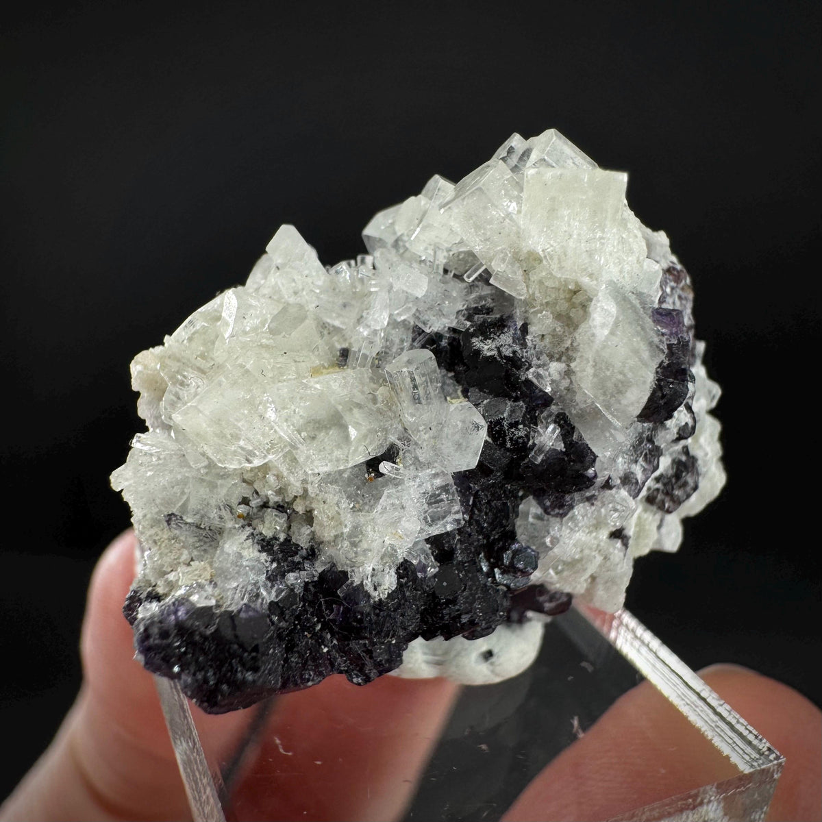 Beryl var. Goshenite with Fluorite | natural crystal cluster, mineral specimen from Namibia