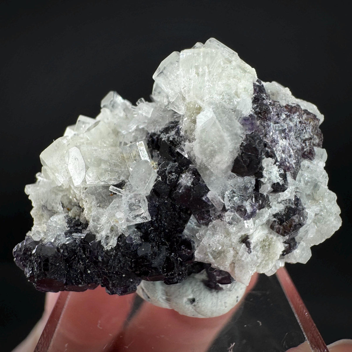 Beryl var. Goshenite with Fluorite | natural crystal cluster, mineral specimen from Namibia