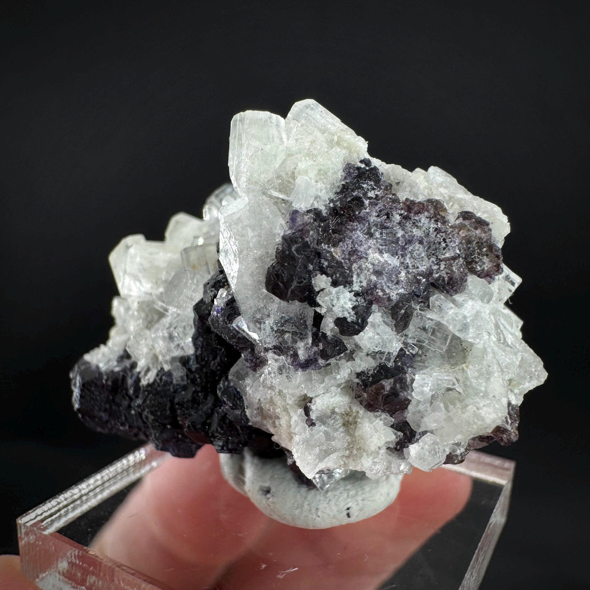 Beryl var. Goshenite with Fluorite | natural crystal cluster, mineral specimen from Namibia