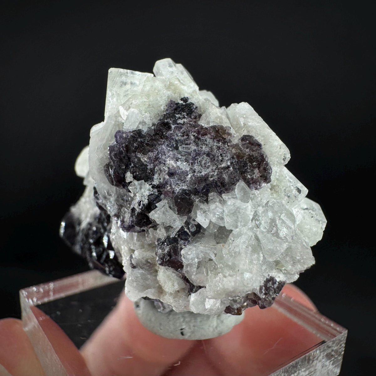 Beryl var. Goshenite with Fluorite | natural crystal cluster, mineral specimen from Namibia