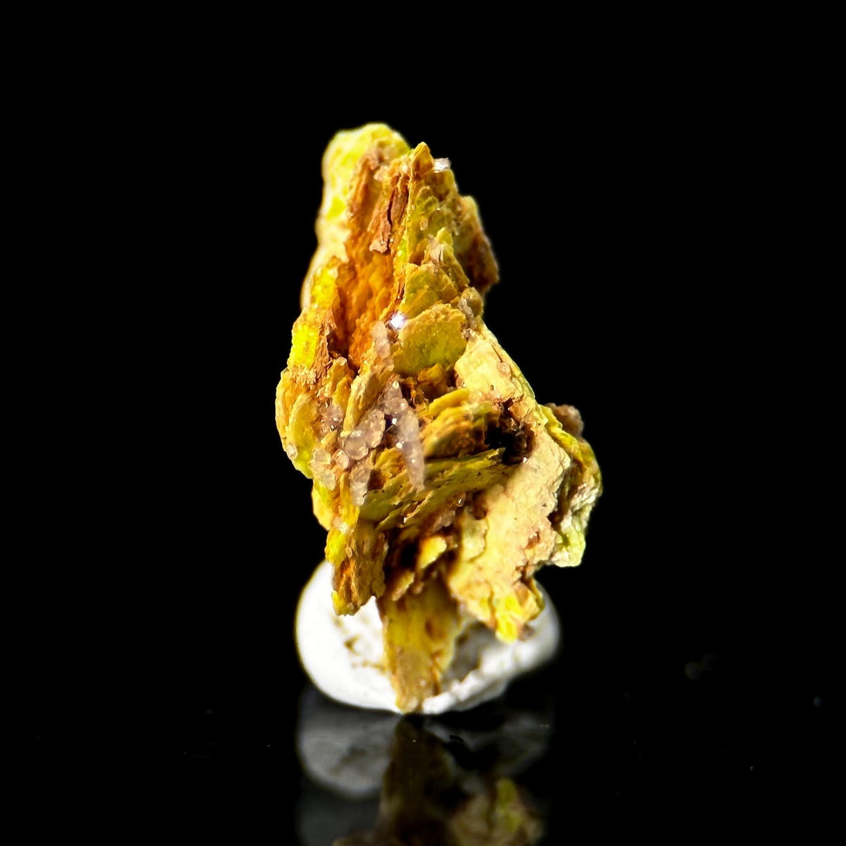Uranocircite | fluorescent UV reactive crystal, rare mineral specimen from Germany