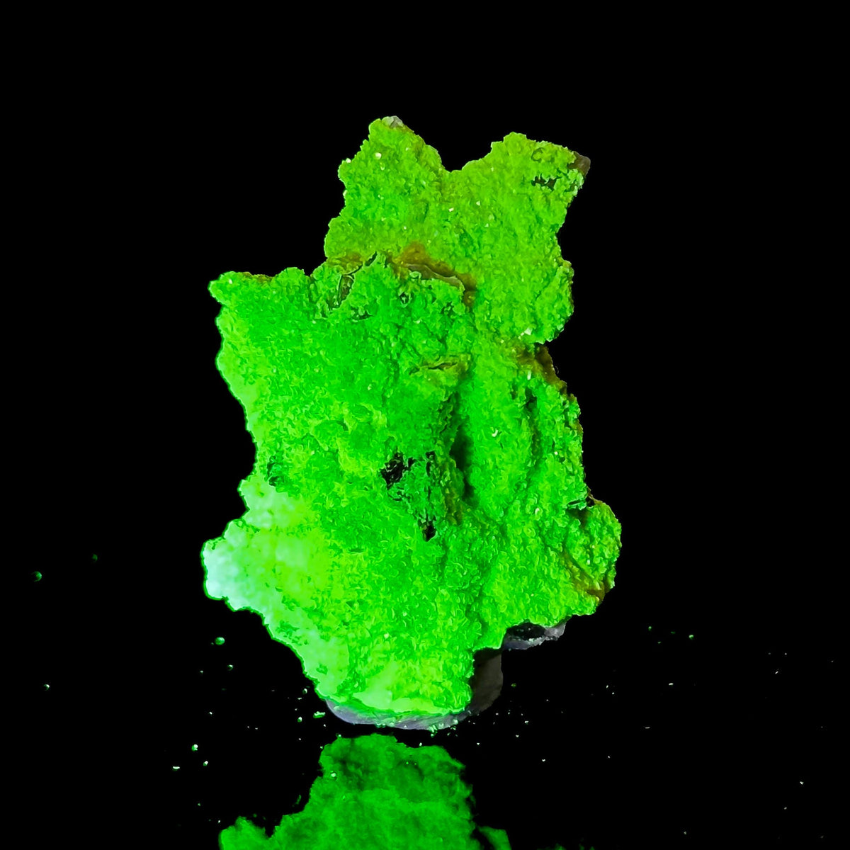 Autun | fluorescent UV reactive crystal, rare mineral specimen from Portugal