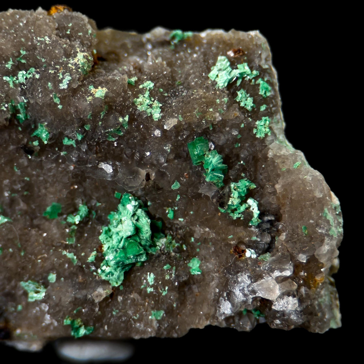 Torbernite | green crystals on matrix, rare mineral specimen from France