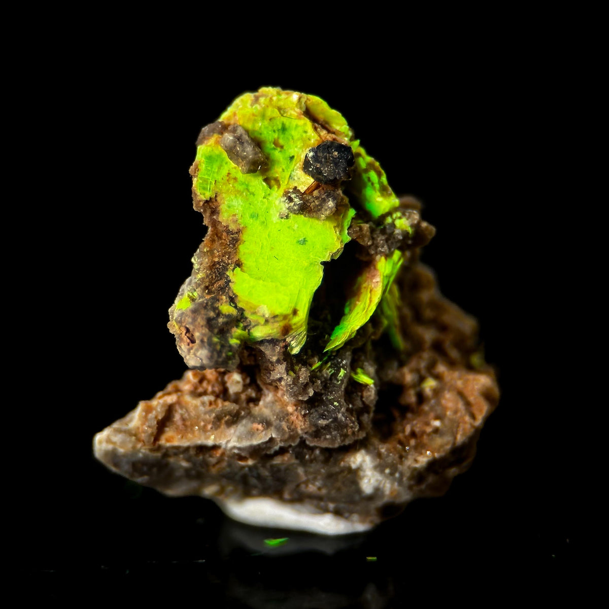 Uranocircite | fluorescent UV reactive crystal, rare mineral specimen from Germany