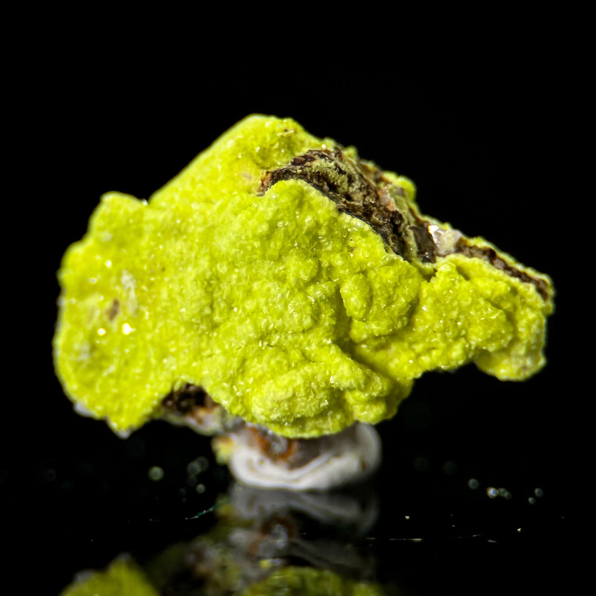 Autun | fluorescent UV reactive crystal, rare mineral specimen from Portugal