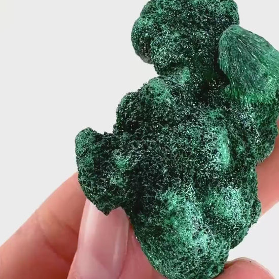 Fibrous Malachite (DR Congo) | raw green malachite crystal, mineral specimen
