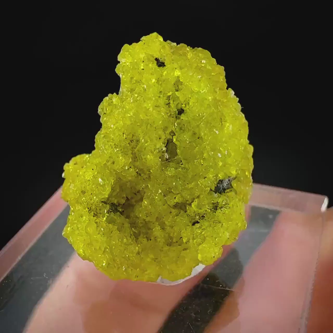 Ettringite (South Africa) | Ettringite crystal, rare crystals, mineral specimen, rare minerals