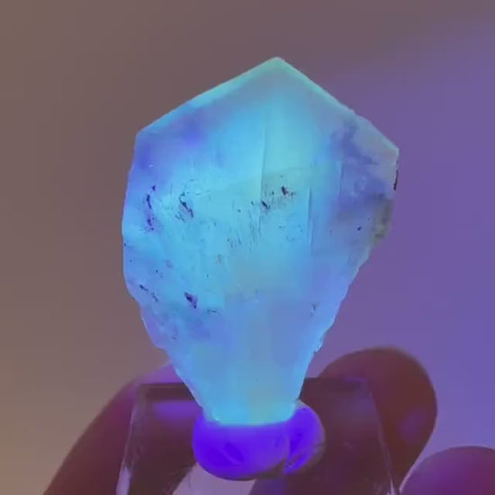Fluorescent & Phosphorescent Golden Selenite  (Canada) | selenite rosette, selenite crystal, UV reactive crystal, crystals