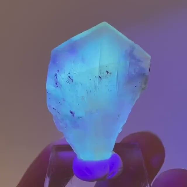 Fluorescent & Phosphorescent Golden Selenite  (Canada) | selenite rosette, selenite crystal, UV reactive crystal, crystals