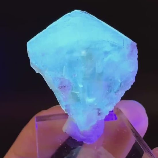 Golden Selenite Blade | Fluorescent UV Reactive Gypsum Crystal
