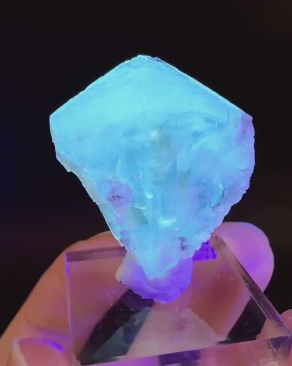 Golden Selenite Blade | Fluorescent UV Reactive Gypsum Crystal