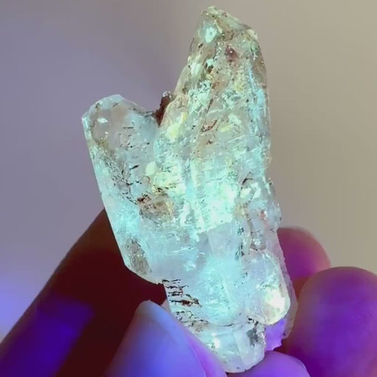 Firefly Petroleum Quartz | UV reactive crystal, fluorescent mineral from Madagascar
