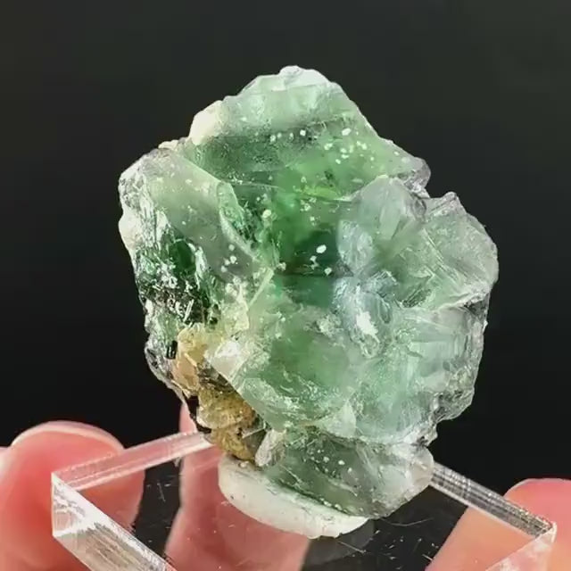 Fluorite w/ Black Tourmaline | Lollipop Pocket, green crystal, mineral specimen from Namibia