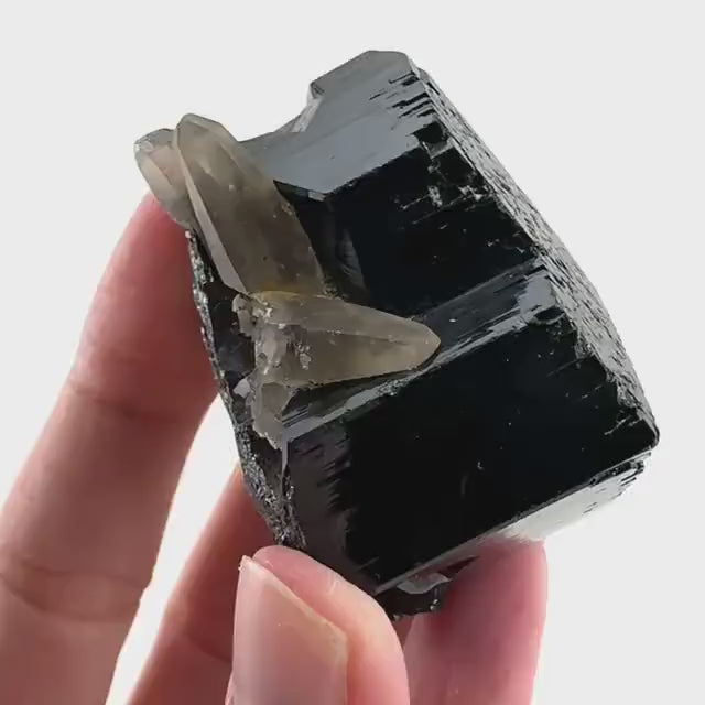 Black Tourmaline w/ Smoky Quartz (Namibia) | high quality black tourmaline crystal, black schorl, mineral specimen