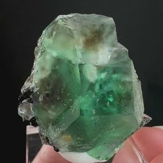 Twinned Fluorite w/ Black Tourmaline (Erongo, Namibia) | fluorite cluster, green fluorite, fluorite, mineral specimen, schorl