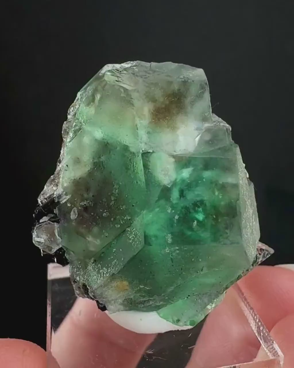 Twinned Fluorite w/ Black Tourmaline (Erongo, Namibia) | fluorite cluster, green fluorite, fluorite, mineral specimen, schorl