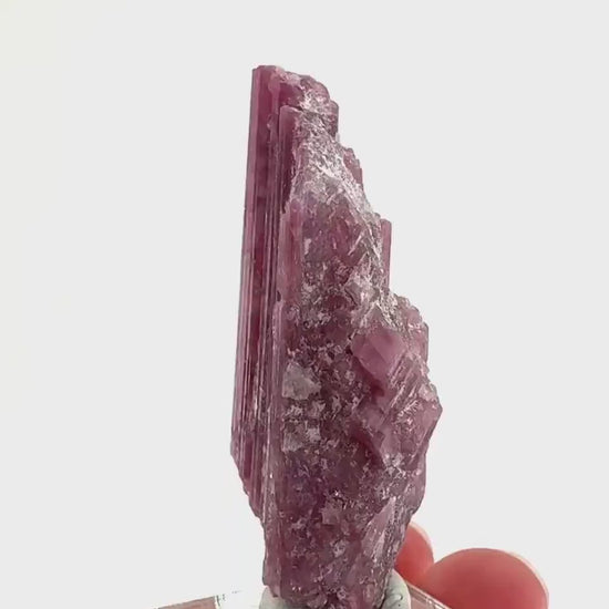 Rossmanite (Tanco Mine, Canada) | pink tourmaline crystal, rare minerals