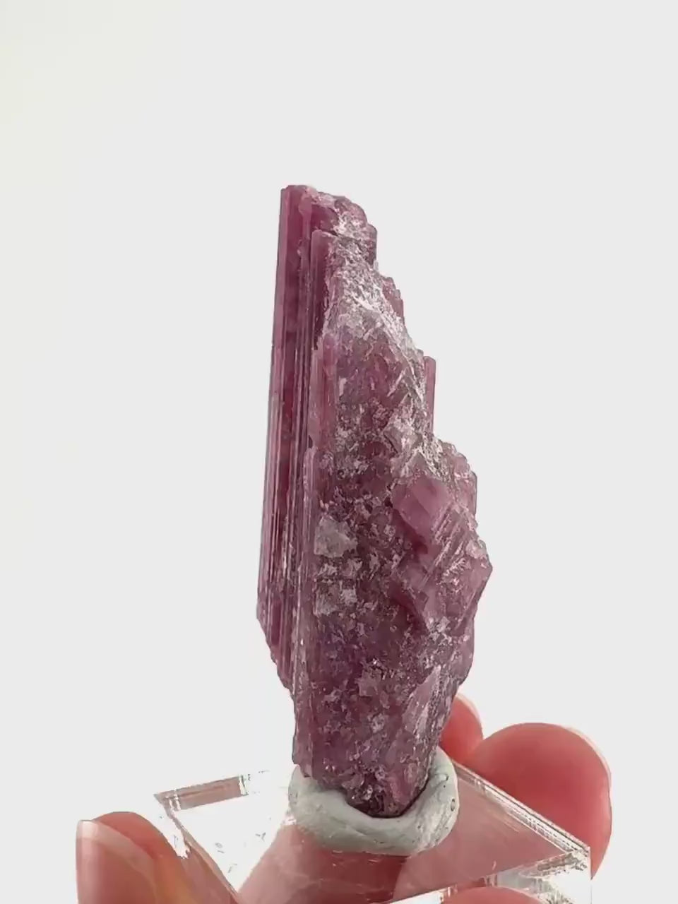 Rossmanite (Tanco Mine, Canada) | pink tourmaline crystal, rare minerals