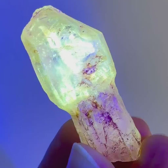 Firefly Petroleum Quartz Sceptre | UV reactive crystal, fluorescent mineral from Madagascar