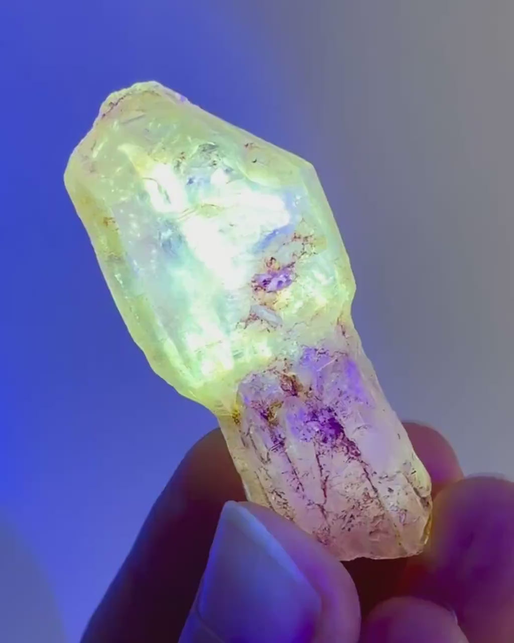 Firefly Petroleum Quartz Sceptre | UV reactive crystal, fluorescent mineral from Madagascar