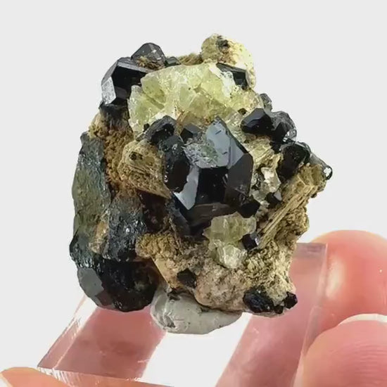 Chlorophane Fluorite w/ Black Tourmaline | natural crystal, rare mineral specimen from Erongo, Namibia