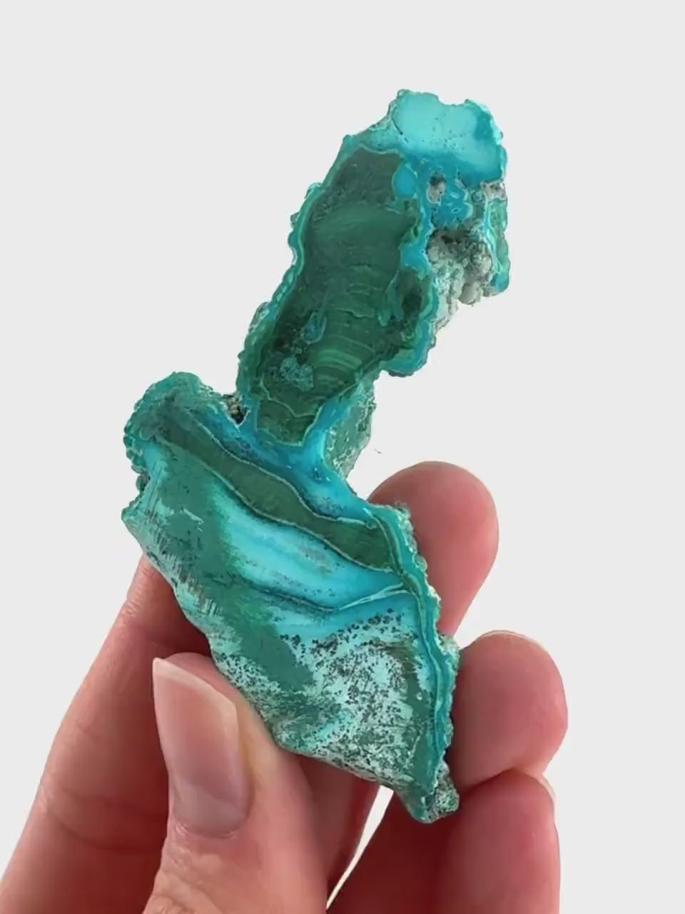 Malachite & Chrysocolla Slice (Congo), natural malachite, malachite slice, malachite slab, malacolla slice, polished malachite