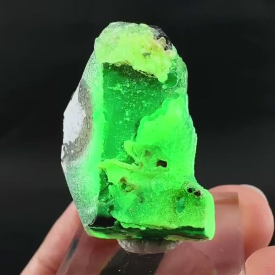 UV Reactive Hyalite Opal on Black Tourmaline | Fluorescent Mineral Specimen from Namibia