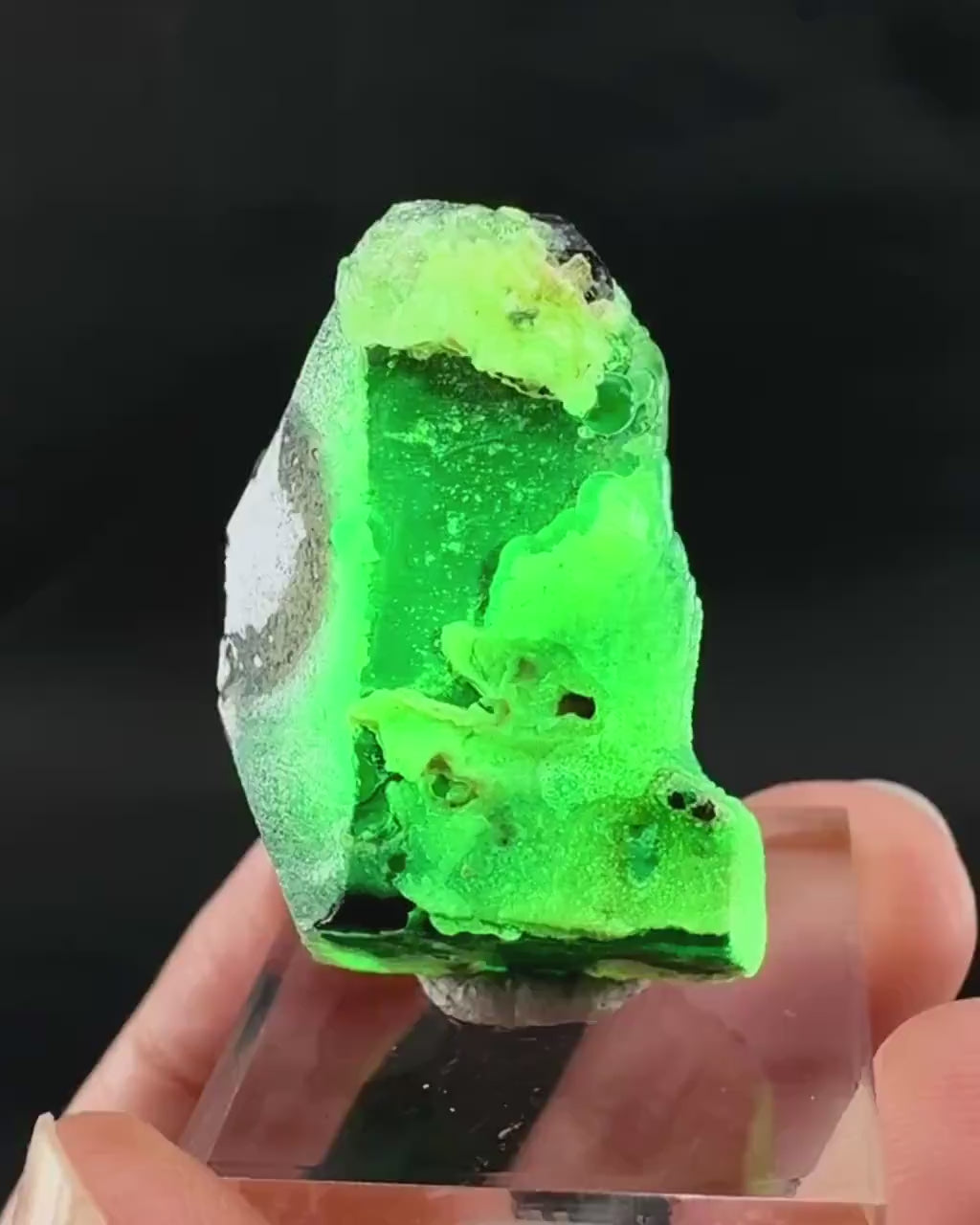 UV Reactive Hyalite Opal on Black Tourmaline | Fluorescent Mineral Specimen from Namibia