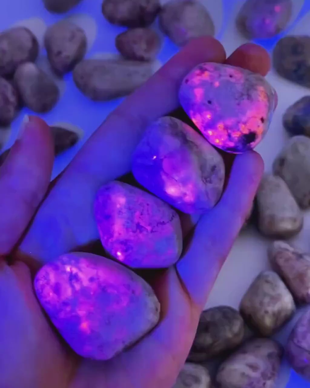 UV-reactive Hackmanite Tumbled Stone | Hackmanite, polished hackmanite, uv reactive crystal, hackmanite crystal