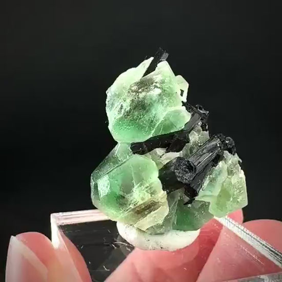 Fluorite w/ Black Tourmaline | Lollipop Pocket, green crystal, mineral specimen from Namibia