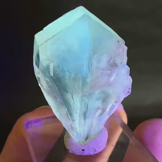 Golden Selenite Blade | Fluorescent UV Reactive Gypsum Crystal