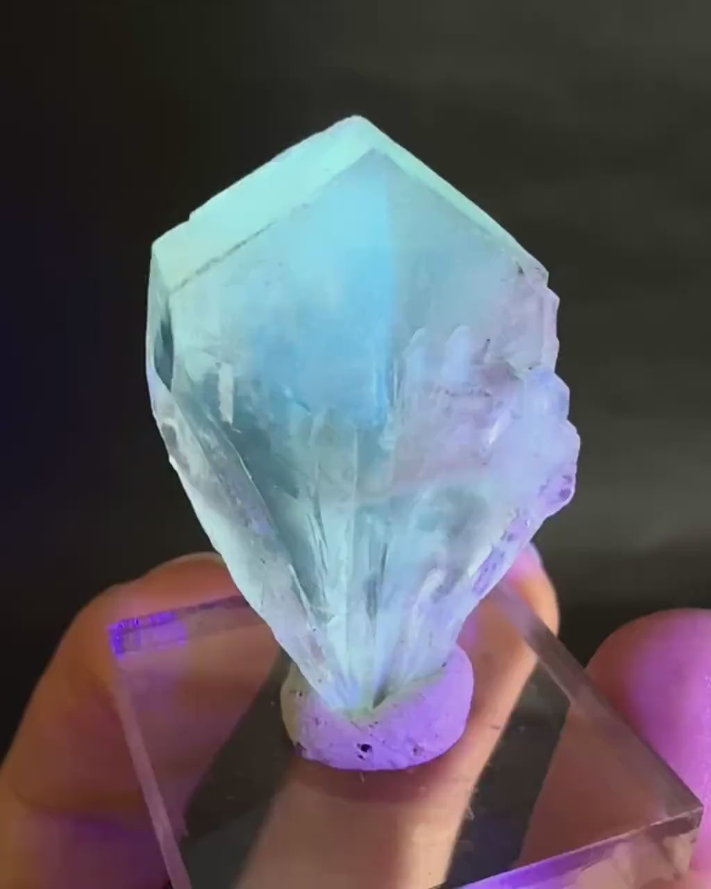 Golden Selenite Blade | Fluorescent UV Reactive Gypsum Crystal