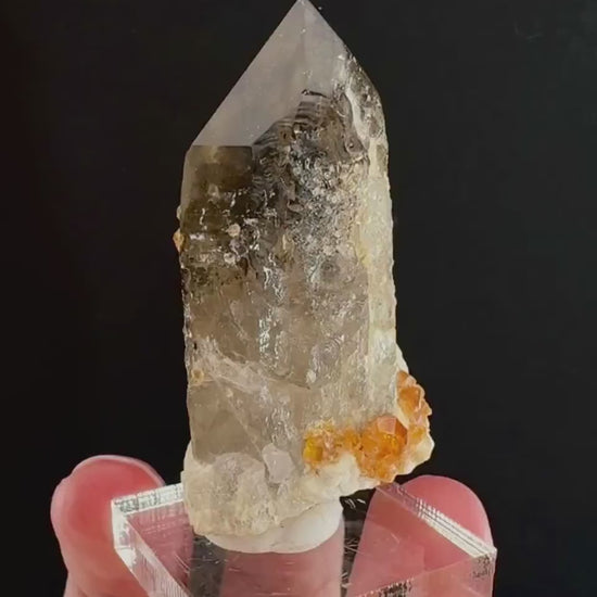 Spessartine Garnet on Smoky Quartz (China) | garnet crystal, rare crystals, orange garnet, mineral specimen