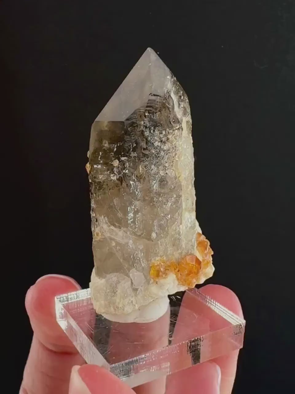 Spessartine Garnet on Smoky Quartz (China) | garnet crystal, rare crystals, orange garnet, mineral specimen