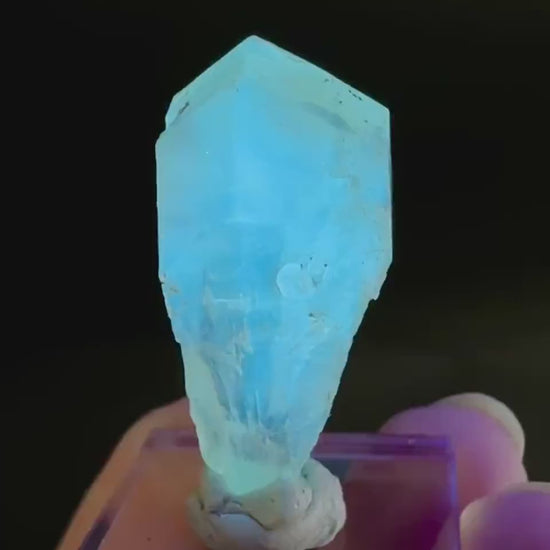 Golden Selenite Blade | Fluorescent UV Reactive Gypsum Crystal