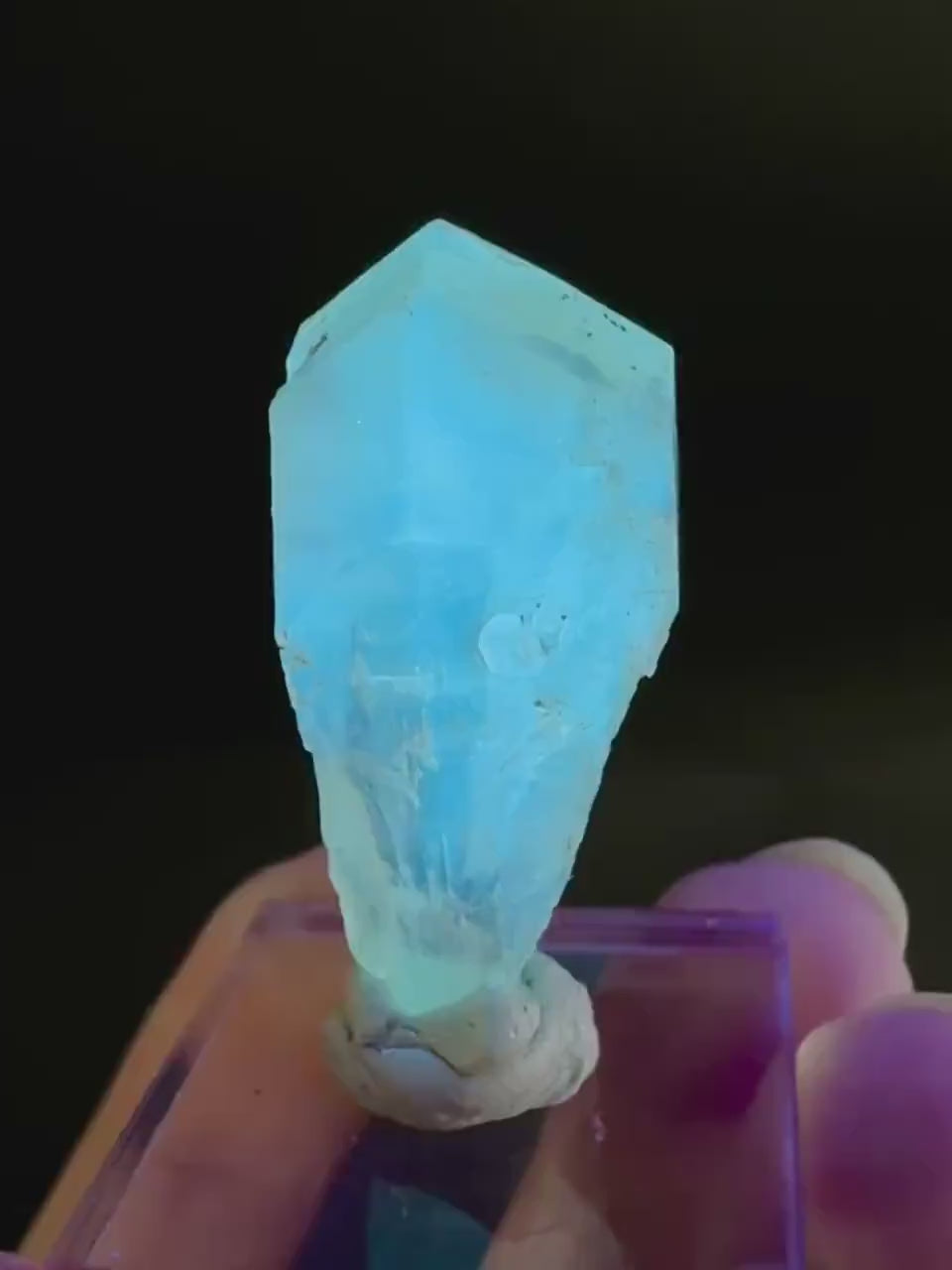 Golden Selenite Blade | Fluorescent UV Reactive Gypsum Crystal