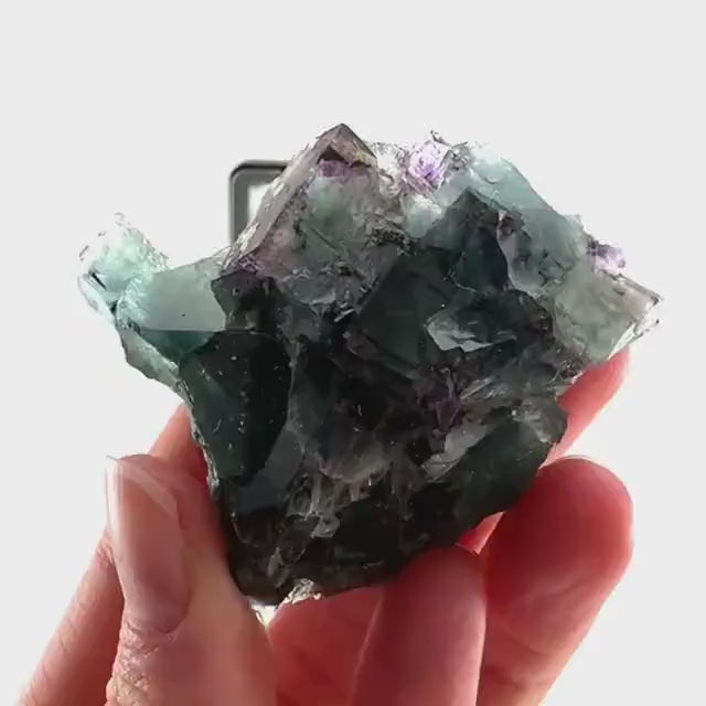 Okorusu Fluorite (Namibia) | green fluorite cluster, purple fluorite, crystals, mineral specimen