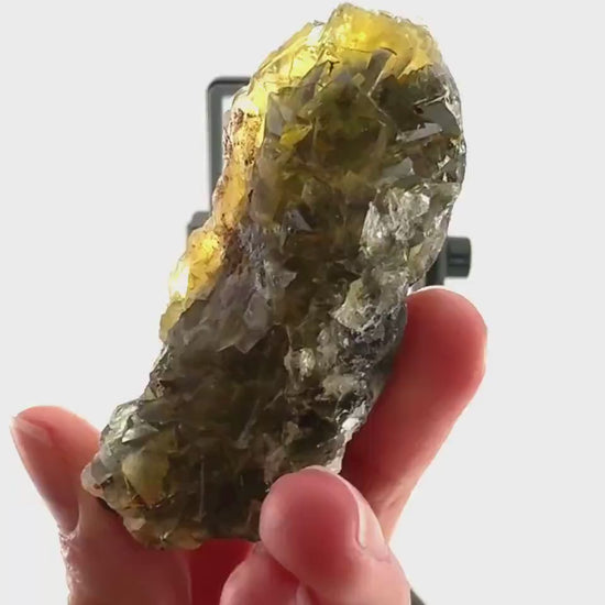 Okorusu Fluorite (Namibia) | “Honey Pocket” fluorite cluster, yellow fluorite crystal, mineral specimen