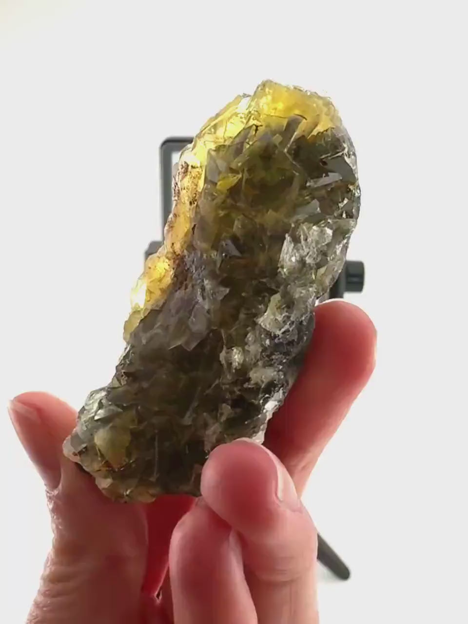 Okorusu Fluorite (Namibia) | “Honey Pocket” fluorite cluster, yellow fluorite crystal, mineral specimen