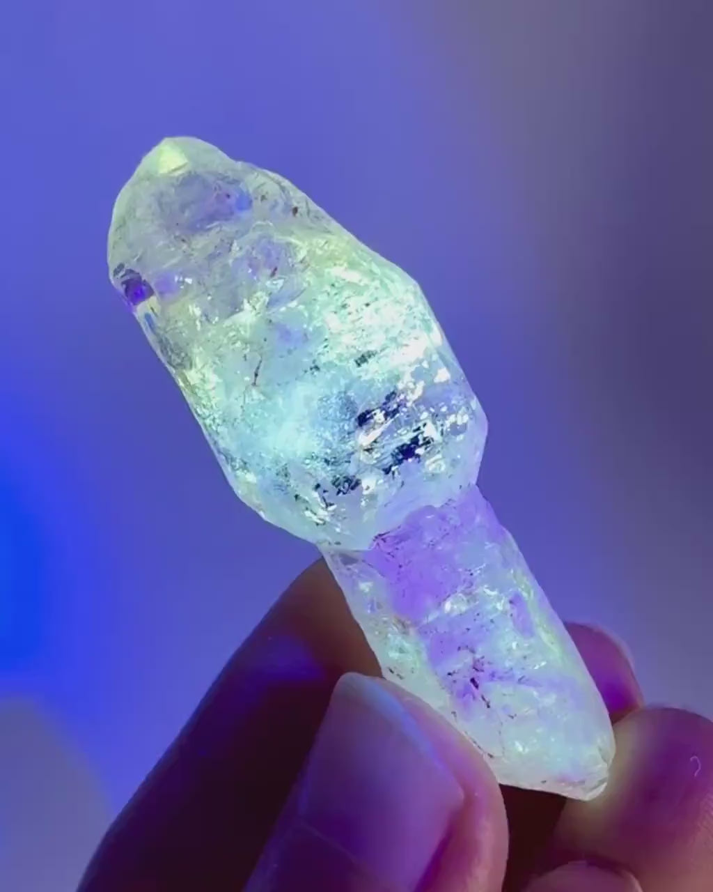 Firefly Petroleum Quartz Sceptre | UV reactive crystal, fluorescent mineral from Madagascar