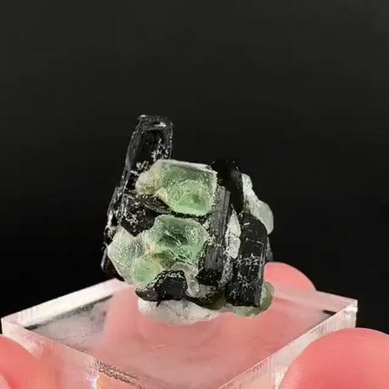 Fluorite w/ Black Tourmaline | Lollipop Pocket, green crystal, mineral specimen from Namibia
