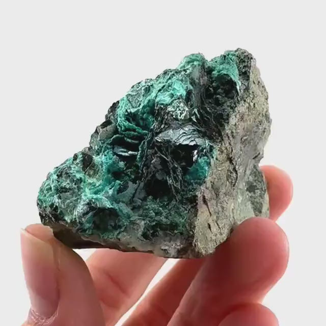 Chrysocolla / Gem Silica (DR Congo) | botryoidal chrysocolla crystal, mineral specimen
