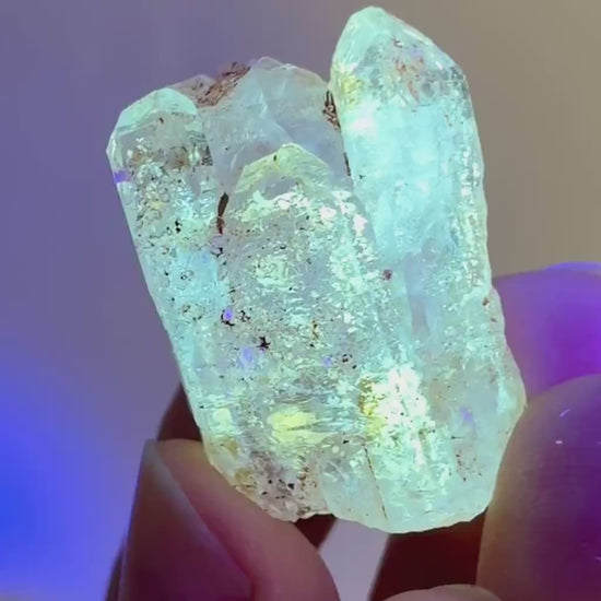 Firefly Petroleum Quartz | UV reactive crystal, fluorescent mineral from Madagascar