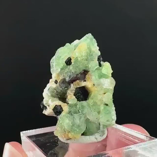 Fluorite w/ Schorl, & Muscovite | Lollipop Pocket, green crystal cluster, mineral specimen from Namibia