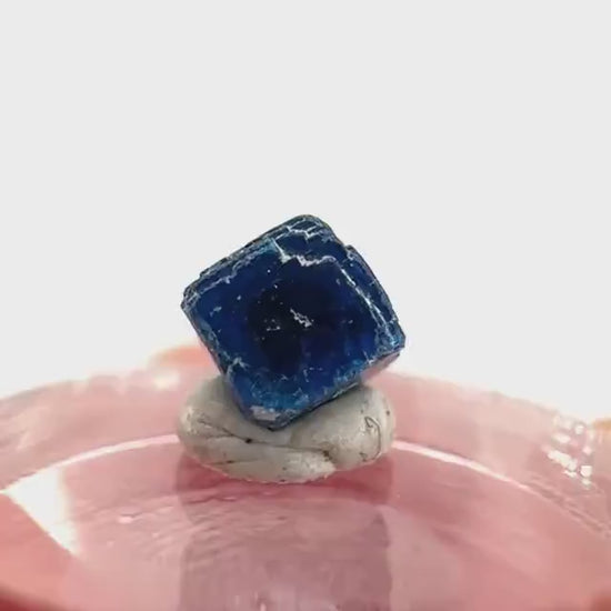 Boleite | blue cube crystal, tiny rare mineral specimen from Mexico
