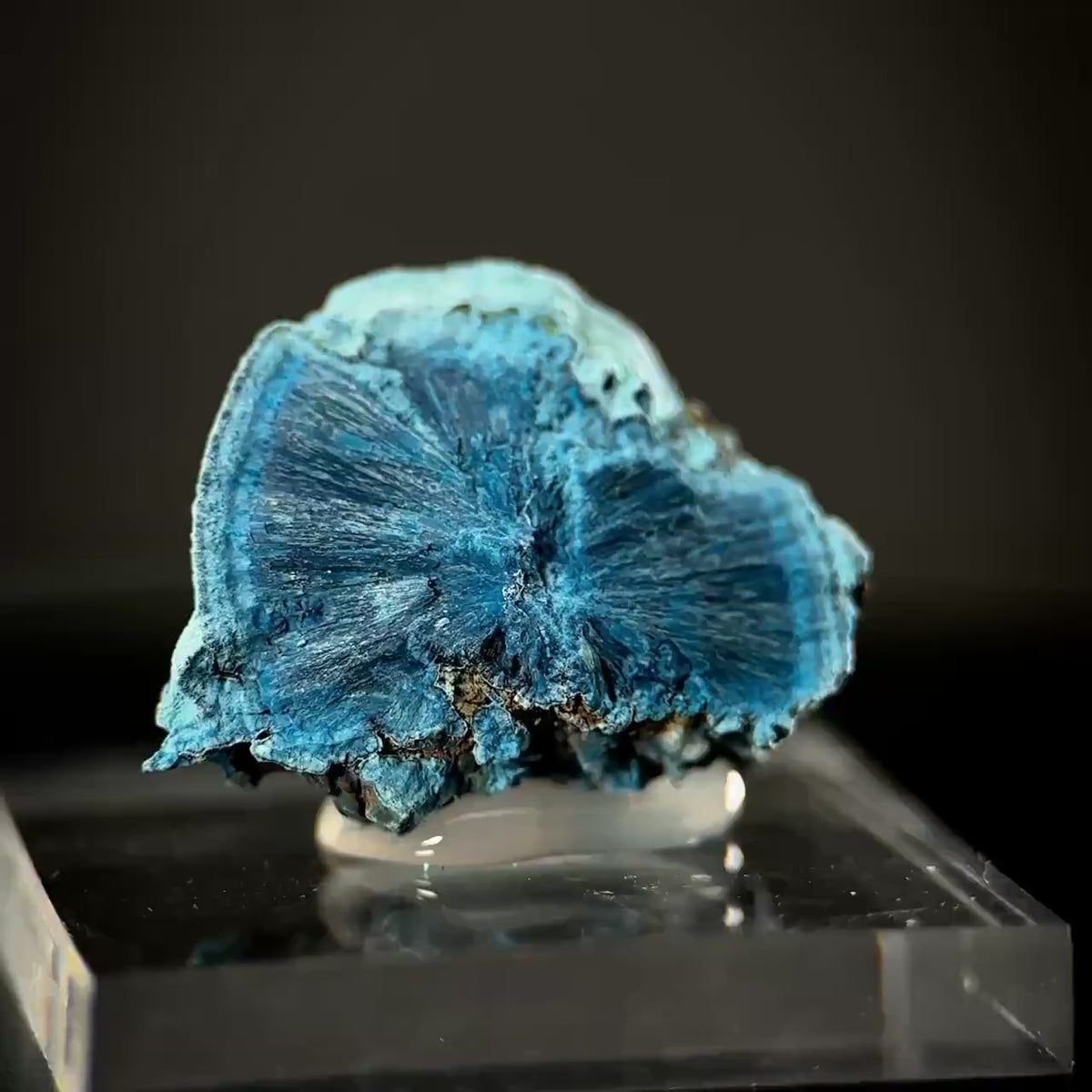 Fibrous Shattuckite | Blue Crystal, Mineral Specimen from DR Congo