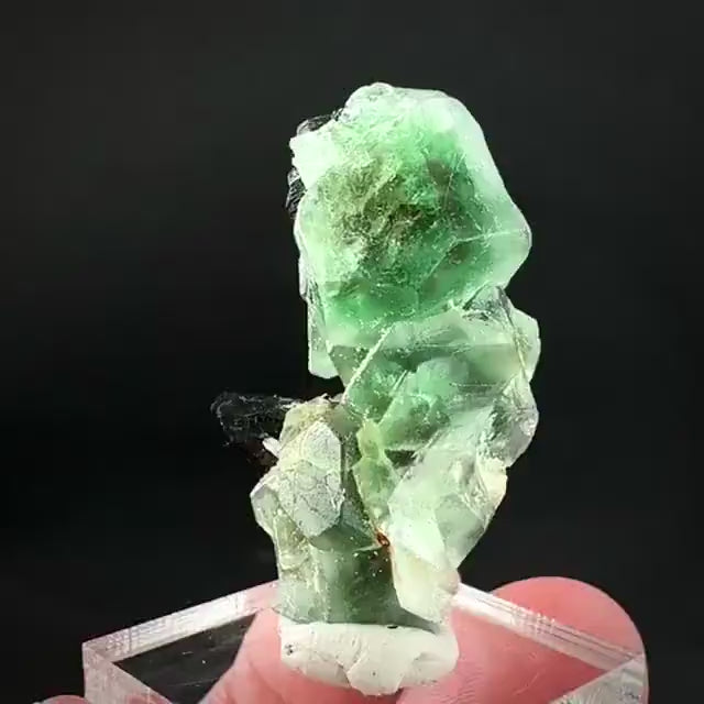 Fluorite w/ Schorl, & Muscovite | Lollipop Pocket, green crystal, mineral specimen from Namibia