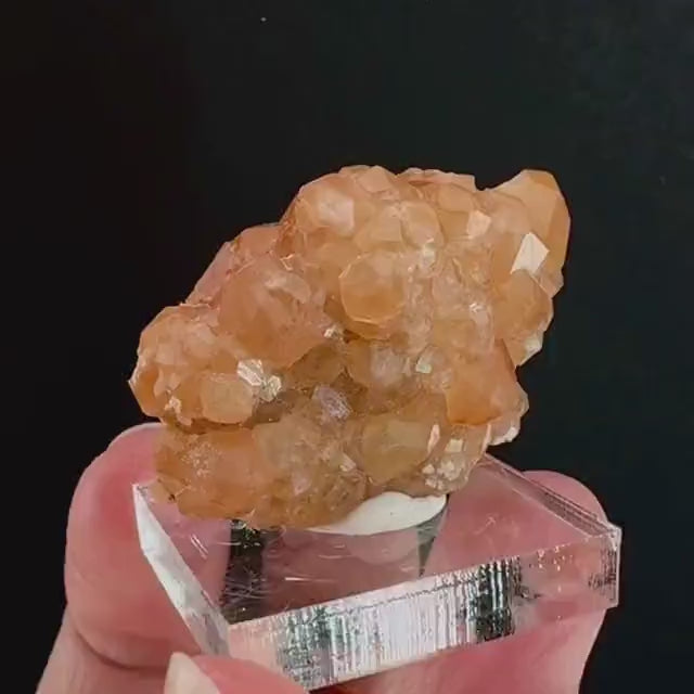 Hessonite Garnet (Pakistan) | rare garnet, orange garnet crystal, garnet crystal, mineral specimen